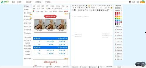 新北方爆料流行病毒视频,流行病毒视频背后的惊人真相